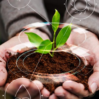 iot-agricultura-inteligente-fondo-arbol-plantacion-manual