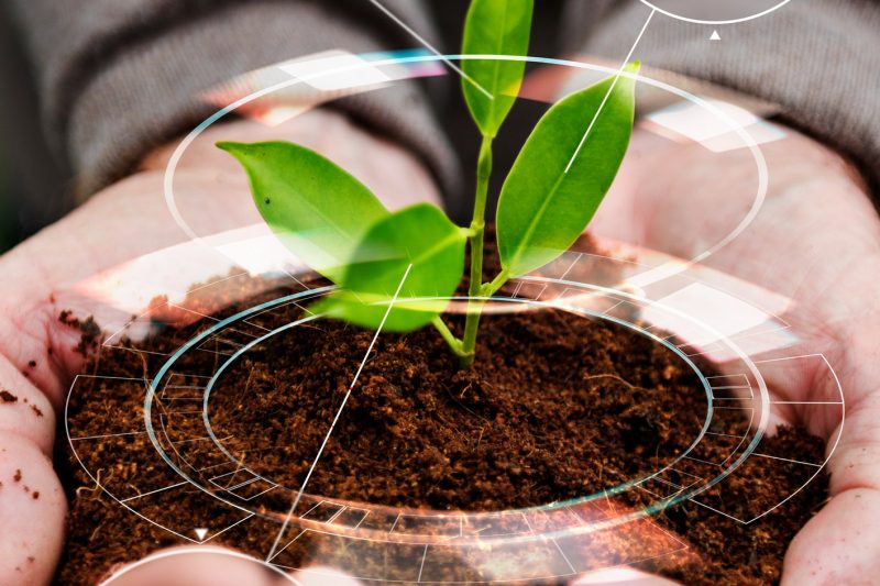 iot-agricultura-inteligente-fondo-arbol-plantacion-manual